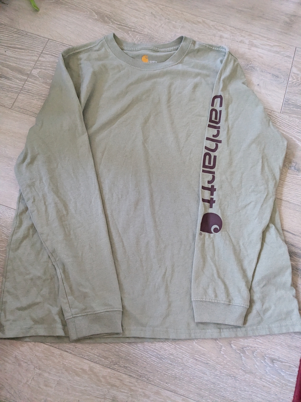 Carhartt Sage Green Long Sleeve Logo Tee with Sleeve Print Kids